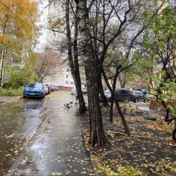 Фото Отель Уютная атмосфера на улице Ремизова 15 корпус 1