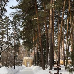 фото 4 Серебряный Бор