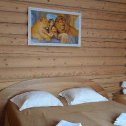 Фото Отель Мустанг