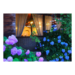 Фото Отель Alaku Hotel (Алаку)