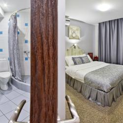 1-местный номер стандарт с 1 двуспальной кроватью