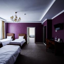 Фото Отель Victoria SPA (Виктория СПА)