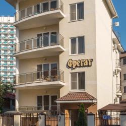фото 2 Фрегат
