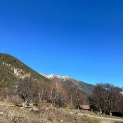 Фото Отель ские Домики 09