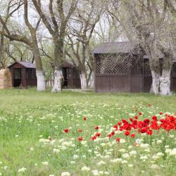 Фото Отель SHE (ШИ)