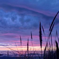 Фото Отель Отдых на Куршской косе