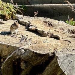 Фото Отель Красные Ворота