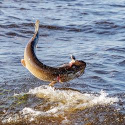 Фото Отель Берег Мологи