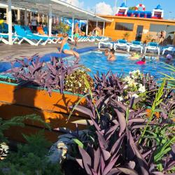 Фото Отель Арина