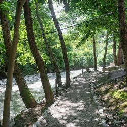 Фото Отель Платонов