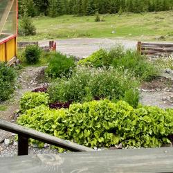 Фото Отель Красные Ворота