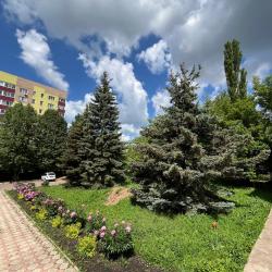 Фото Отель Фаворит (бывш. Оазис)