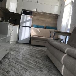 Фото Апартаменты Green Palace Sochi (Грин Пэлас )