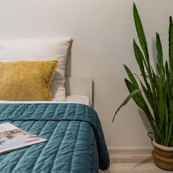 Фото Отель Prima Rent на улице Горького 80
