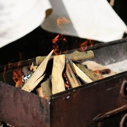 Фото Отель Золотой Гусь