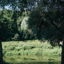 Фото Загородный отель Pine River (Пайн Ривер)