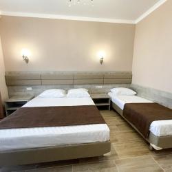 Комната стандарт с 1 односпальной и 1 двуспальной кроватью