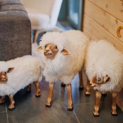 Фото Отель Grand Chalet Altay ZONT Hotel Group (Гранд Шале Алтай)