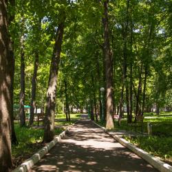 Фото Парк-отель Дубрава