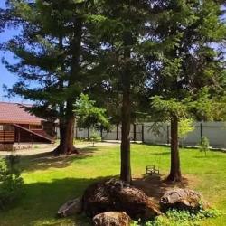 Фото Отель Усадьба в горах Телецкое Озеро