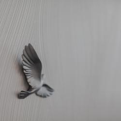 Фото Отель RentPlaza (РентПлаза) на улице Мусоргского