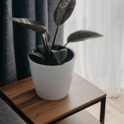 Фото Отель Tong Marina (Тон Марина)