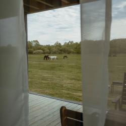 Family Lodge