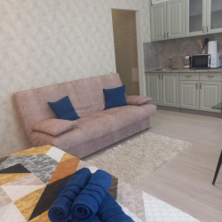 4-местные 1-комнатные апартаменты студия