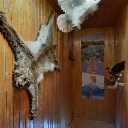 Фото Отель Камчатский стиль