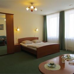 Номер полулюкс с 1 двуспальной кроватью