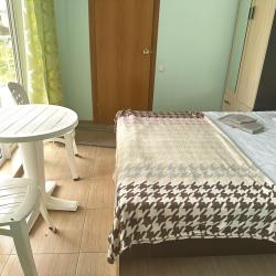 Фото Отель Лев