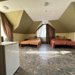 Фото Отель Лев