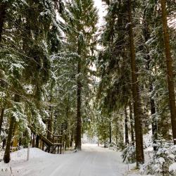 Фото Отель Конни