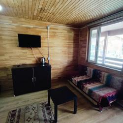 Номер стандарт семейный с 2 односпальными кроватями