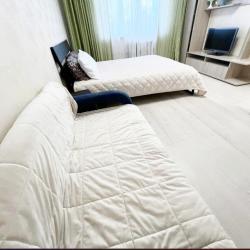 1-комнатные апартаменты улучшенные дзержинского 10