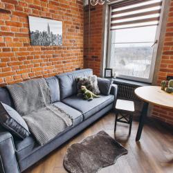 1-комнатные апартаменты студия Loft 449