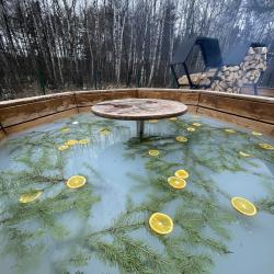 Фото Отель Дом в лесу с баней и чаном