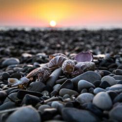 Фото Отель Корсо