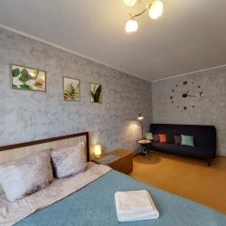 2-комнатные апартаменты эконом улица Чичерина,40