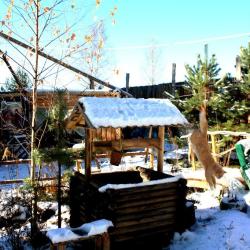 Фото Отель Гостевой Дом Троица