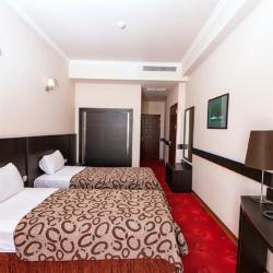 Фото Отель Regineh (Режине)