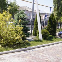 Фото Отель Светлана