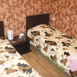 Фото Отель Гостевой дом Домодедово