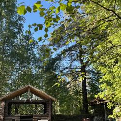 Фото Отель Гостевой комплекс Сосны