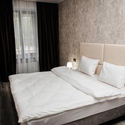 2-комнатные апартаменты студия Тукая 31-3