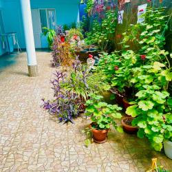 Фото Отель Варвара