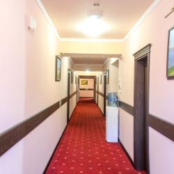 Фото Отель Дельфин (Дельфинарий Морская Звезда)