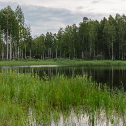 Фото Отель Шале LATO (Лато) в соснах