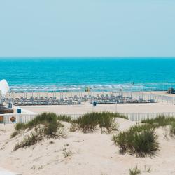 Фото Отель Venera Resort (Венера Резорт)