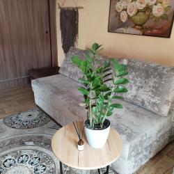 2-комнатный коттедж стандарт